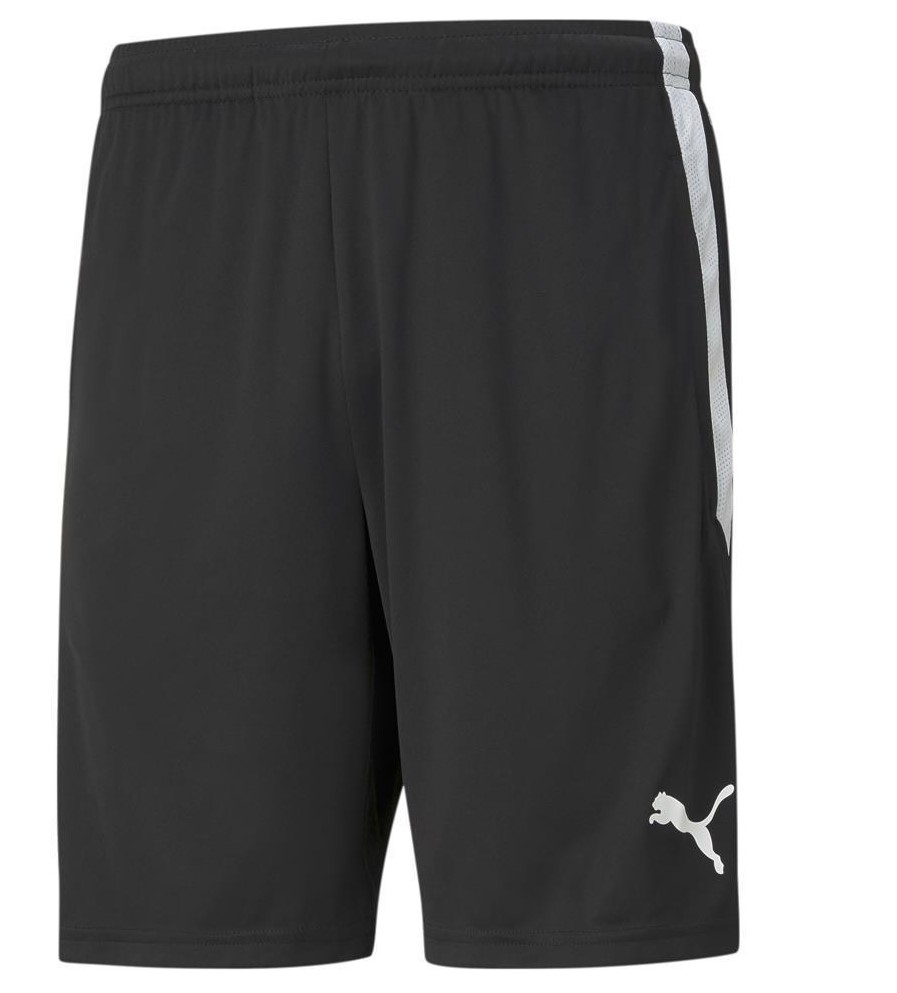 657249-03-teamliga-training-shorts-puma-black-puma-white.jpg